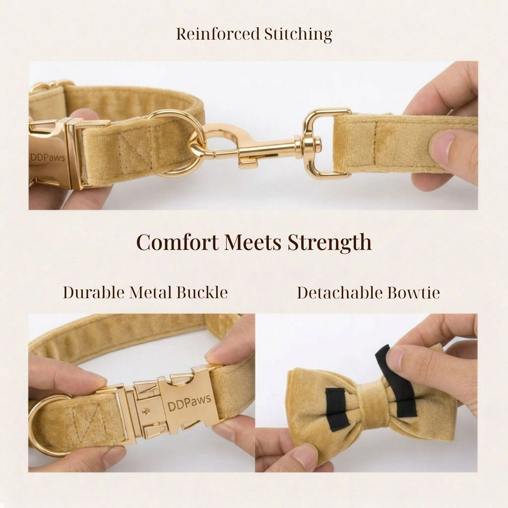 Nude Velvet Personalized Dog Harness & Leash Set