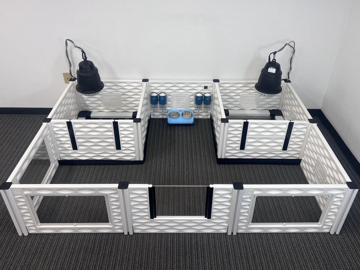 EZclassic Two-Room Whelping Condo Bundle