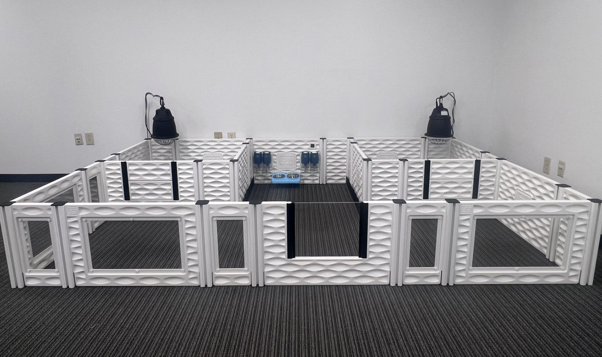 EZclassic Two-Room Whelping Condo Bundle