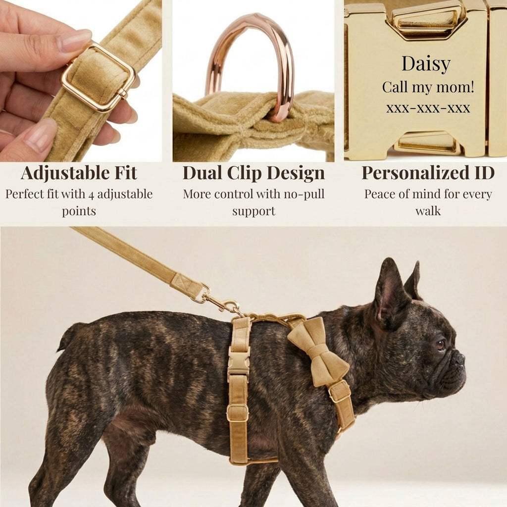 Nude Velvet Personalized Dog Harness & Leash Set