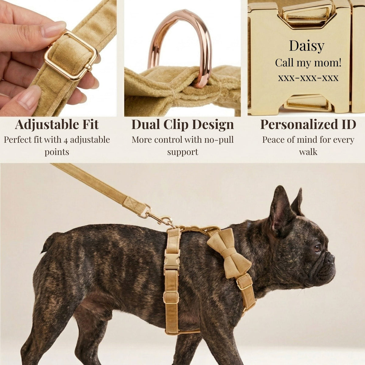 Nude Velvet Personalized Dog Harness & Leash Set