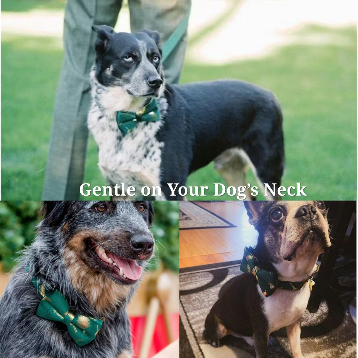 Personalized Green Velvet Dog Harness, Collar & Leash Set