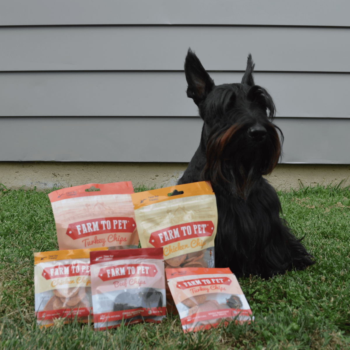 Puppy Packs 'n Snacks Dog Treat Starter Pack | Single-Ingredient Training Treats