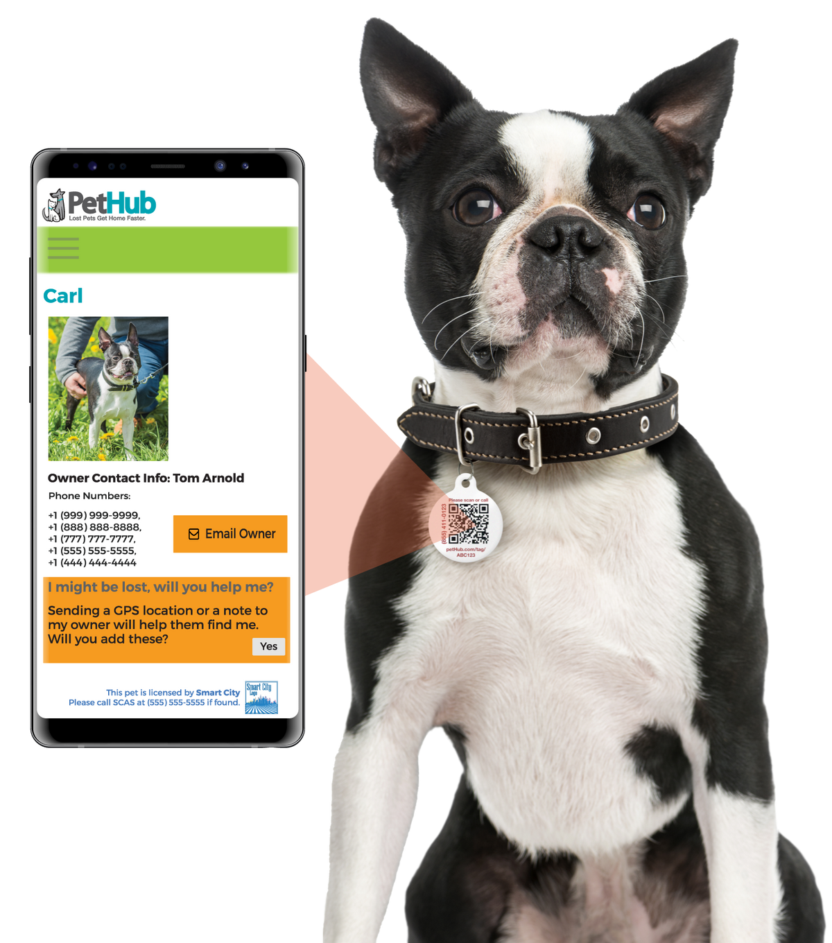 PetHub QR Pet ID Sticker – Upgrade Any Tag + Backup Pet Protection