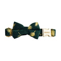Personalized Green Velvet Dog Harness, Collar & Leash Set