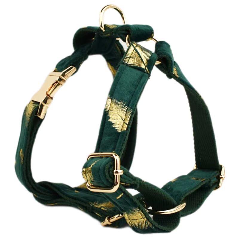 Personalized Green Velvet Dog Harness, Collar & Leash Set