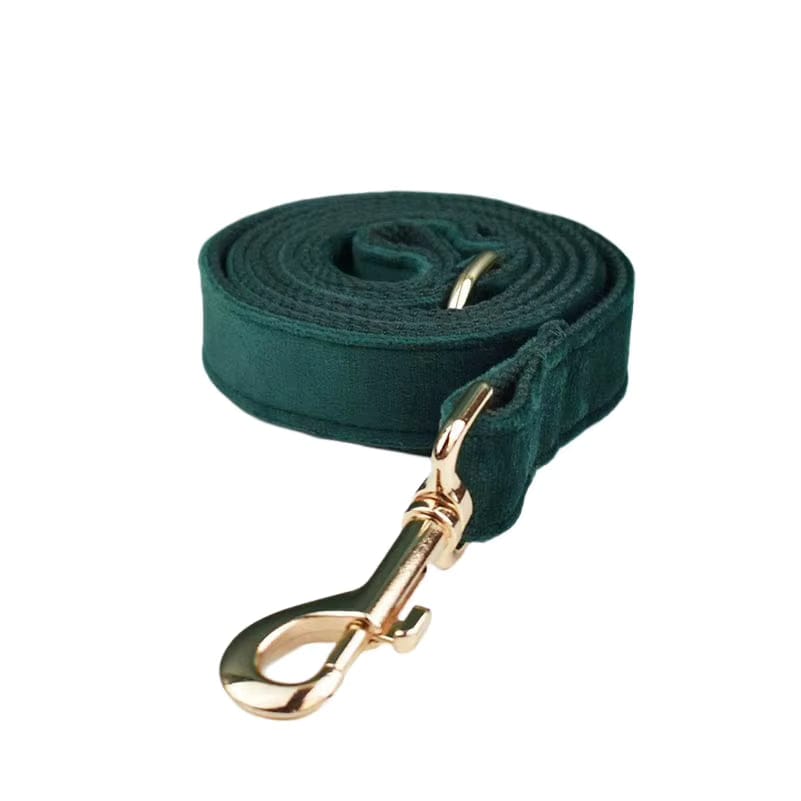 Green Velvet Set