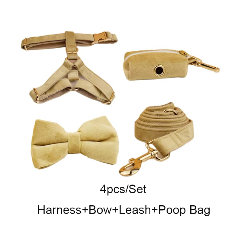 Nude Velvet Personalized Dog Harness & Leash Set