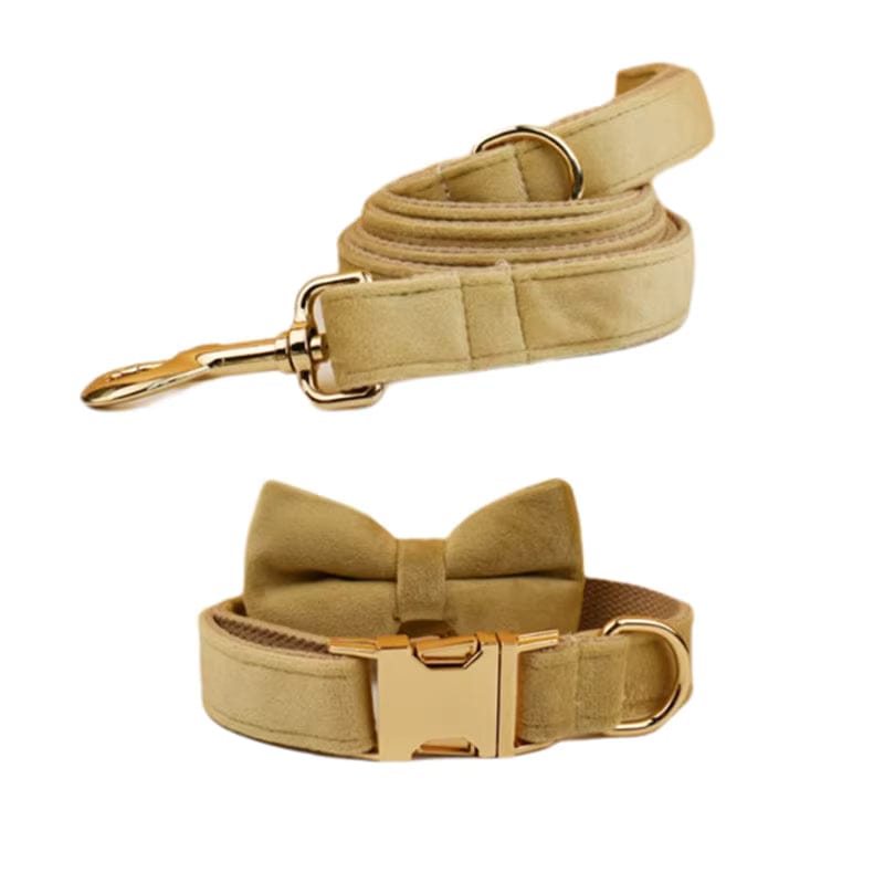 Nude Velvet Personalized Dog Harness & Leash Set