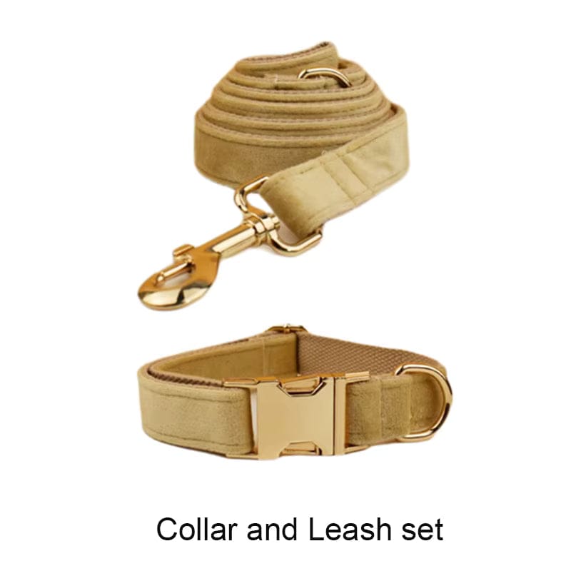 Nude Velvet Personalized Dog Harness & Leash Set