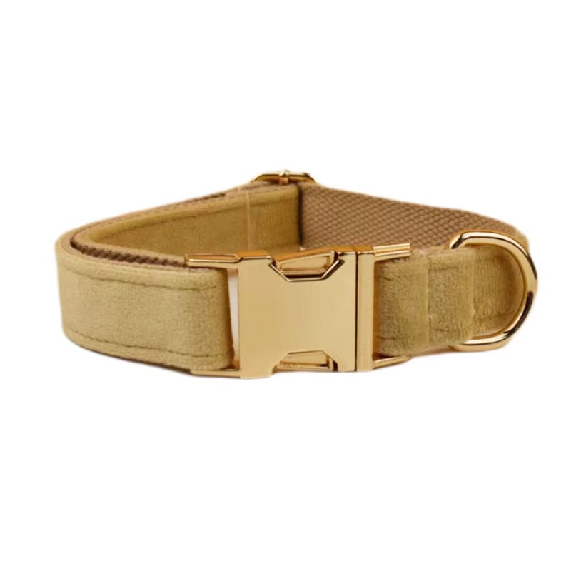 Nude Velvet Personalized Dog Harness & Leash Set
