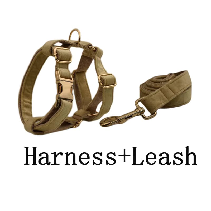 Nude Velvet Personalized Dog Harness & Leash Set