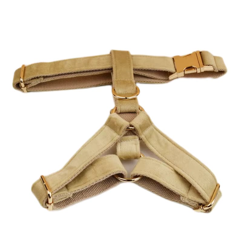 Nude Velvet Personalized Dog Harness & Leash Set