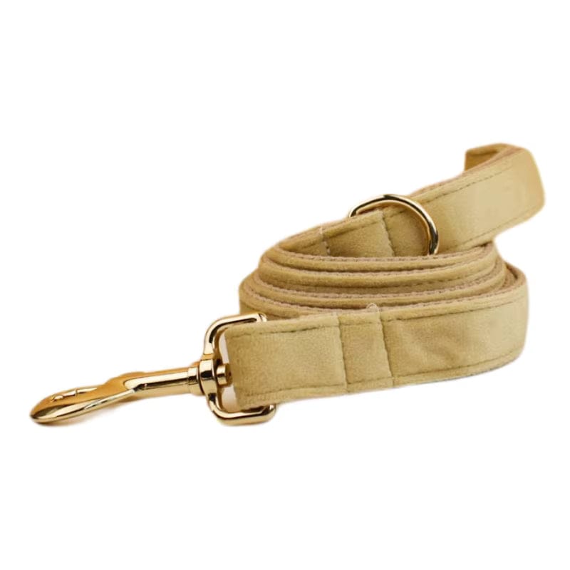 Nude Velvet Personalized Dog Harness & Leash Set