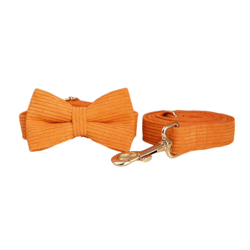Orange Corduroy Set