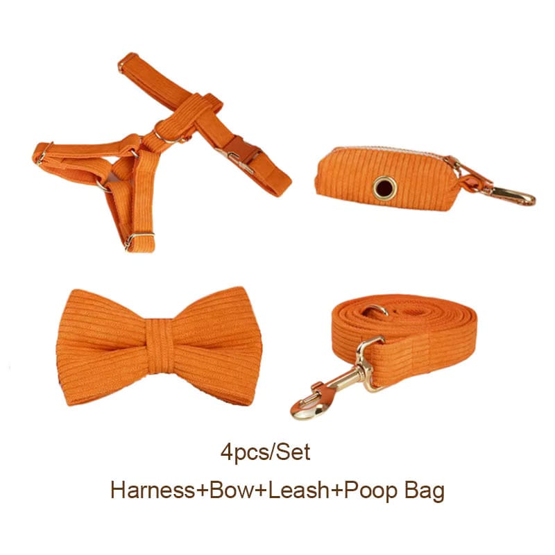 Orange Corduroy Set
